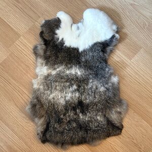 Rabbit pelt